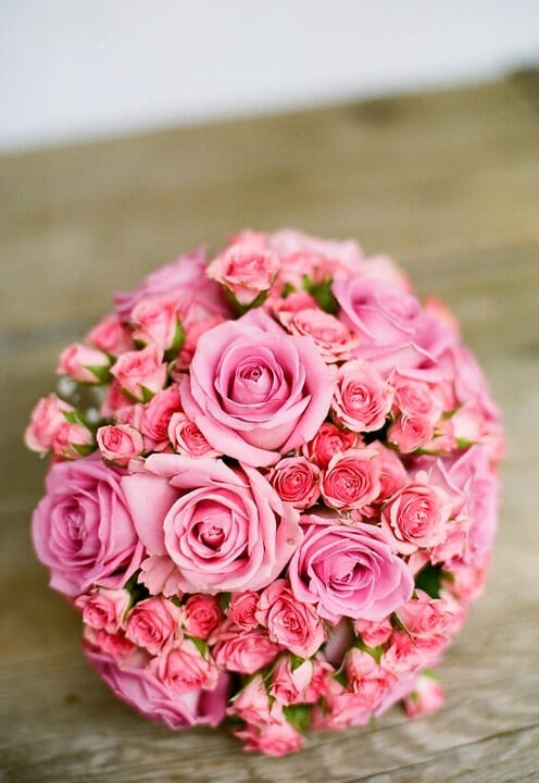 roses, flowers, Kanya Rashi