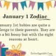 January 1 Zodiac