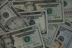 money, rabbits