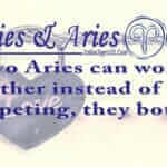 Ariesaries