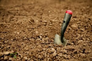 shovel, garden