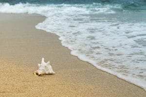 water, earth, beach