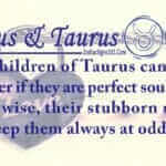 Taurustaurus