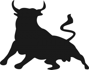 Bull, May 6 birthday