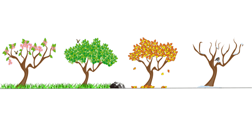 seasons, spring, summer, winter, fall, autumn