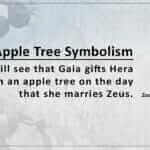 Apple Tree Symbolism