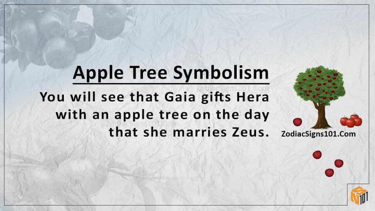 Apple Tree Symbolism