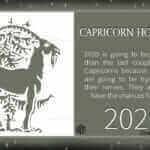 Capricorn 2020