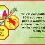 Rat Rat