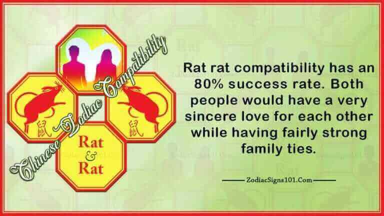 Rat Rat