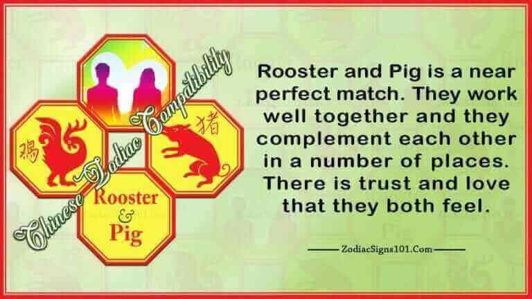 Rooster Pig