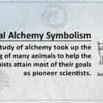 Animal Alchemy Symbolism