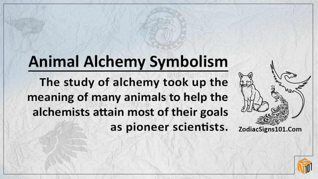 Animal Alchemy Symbolism