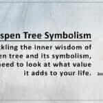 Aspen Tree Symbolism