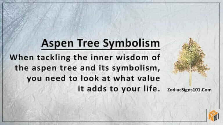 Aspen Tree Symbolism