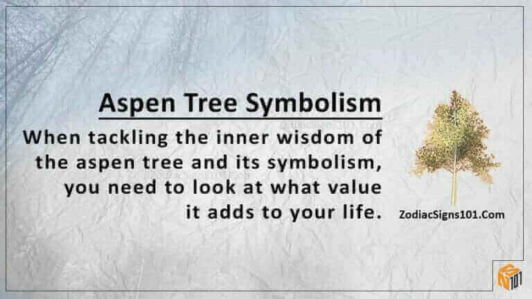 aspen tree symbolism