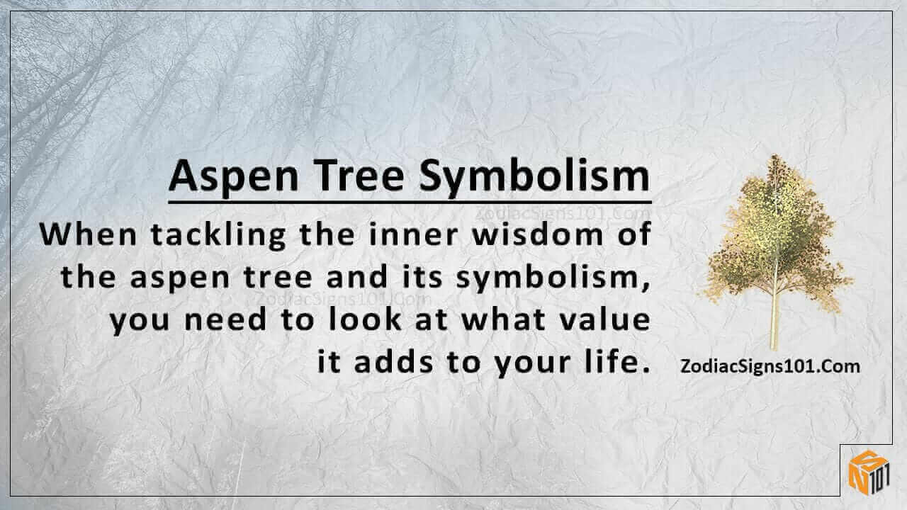 Aspen Tree Symbolism