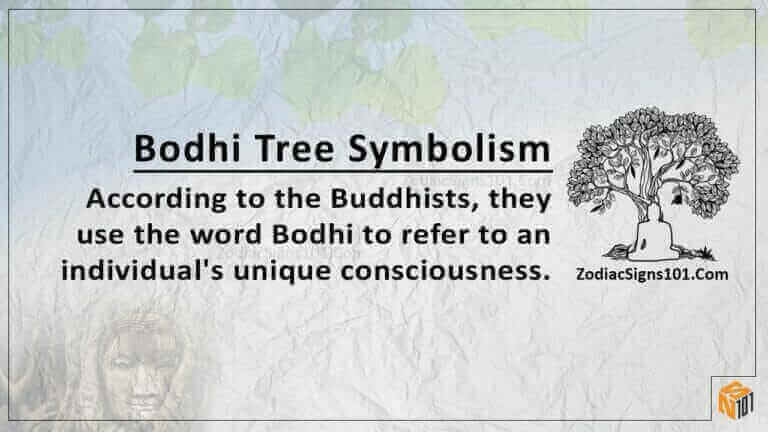 bodhi tree symbolism