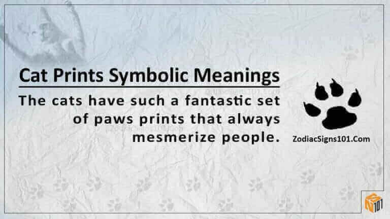 cat prints symbolism