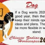 Dog 2020
