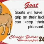 Goat 2020