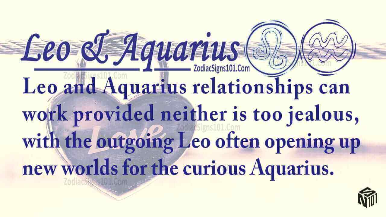 Leoaquarius