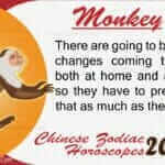 Monkey 2020