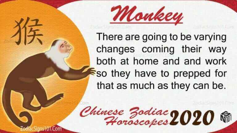 Monkey 2020