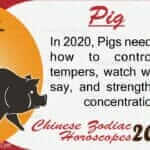 Pig 2020