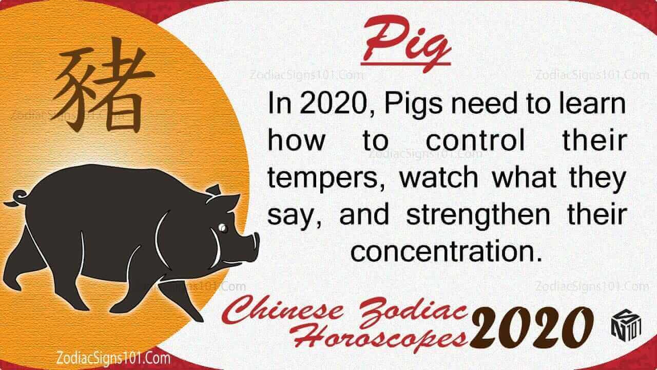 Pig 2020