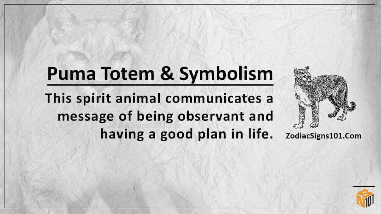 Puma Totem - Focus and Precision - ZodiacSigns101
