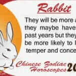 rabbit 2020