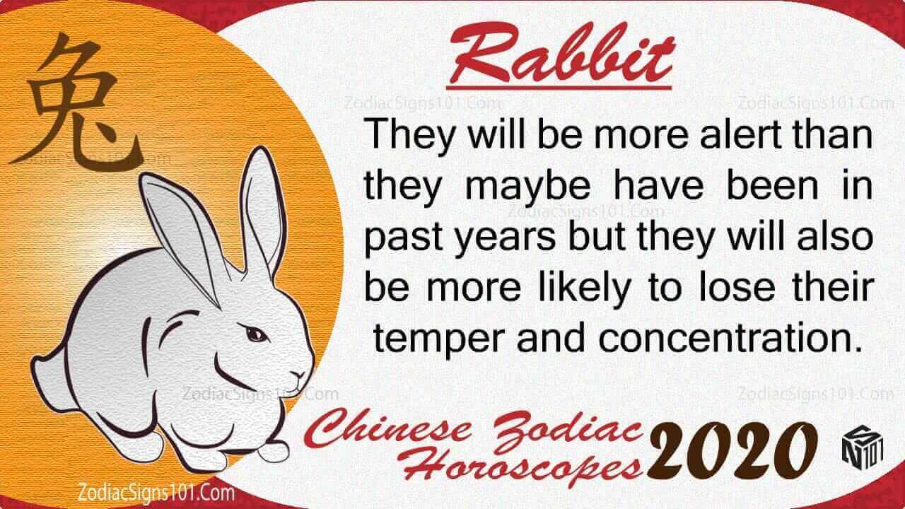 Rabbit 2020