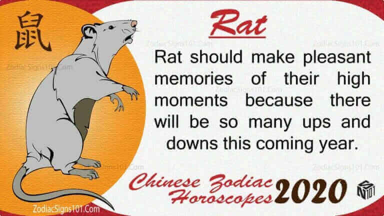 Rat 2020