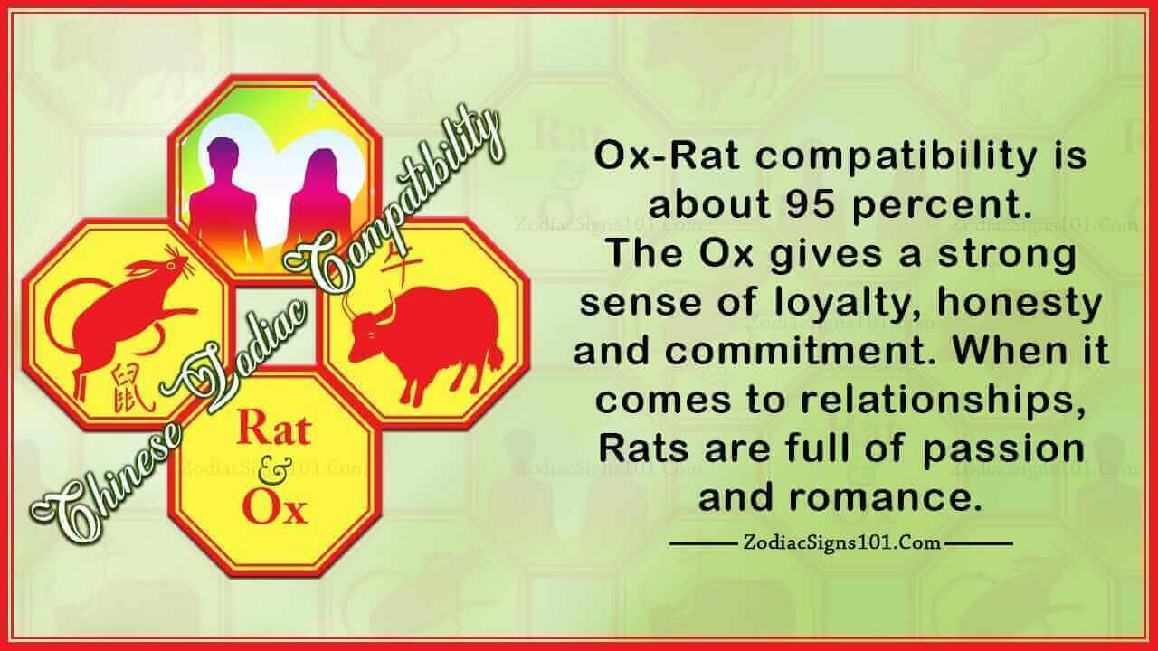 Rat Ox