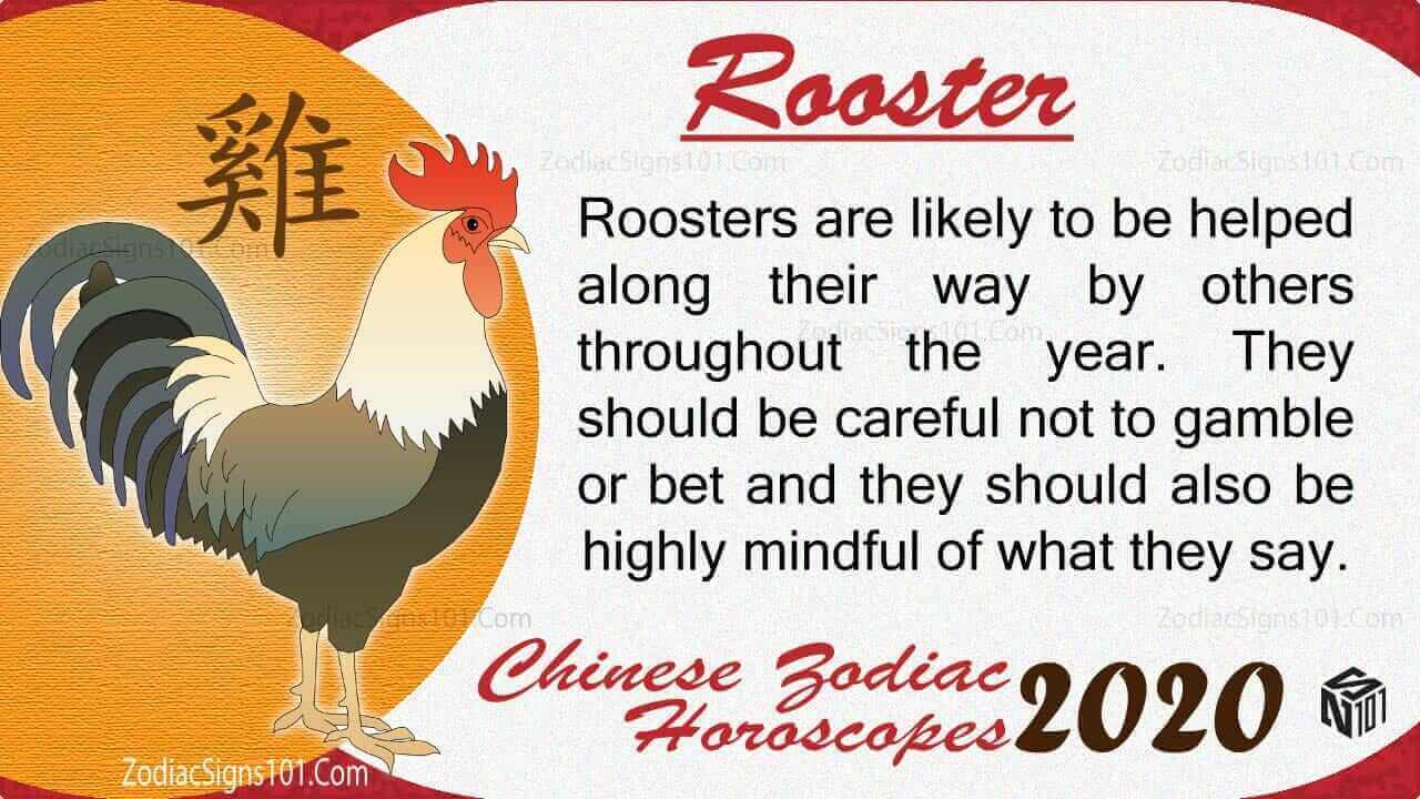 Rooster 2020