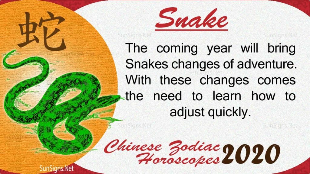 snake 2020 horoscope