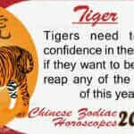 tiger 2022