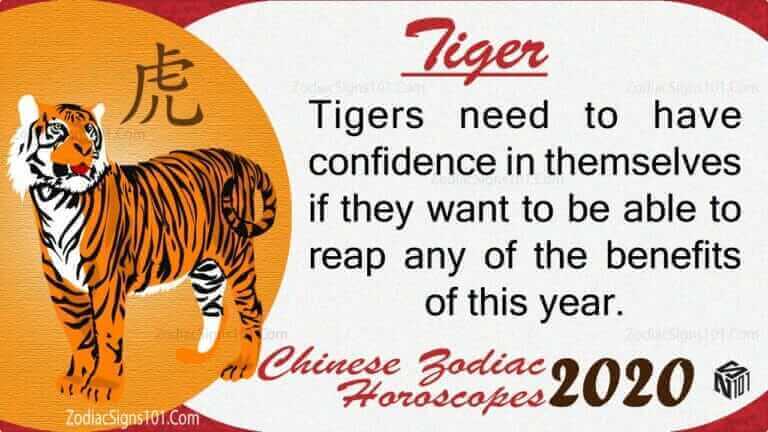 tiger 2022
