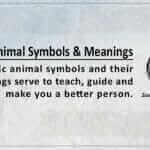 Celtic Animal Symbolism