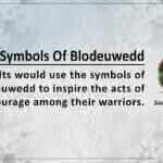 Celtic Blodeuwedd Symbols