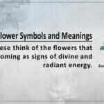 Chinese Flower Symbols