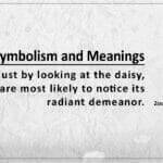 Daisy Symbolism Meaning