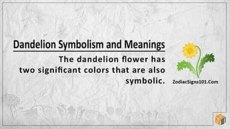 dandelion symbolism meaning