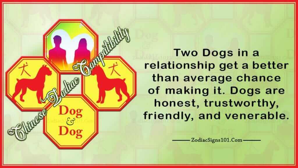 Dog Dog Compatibility