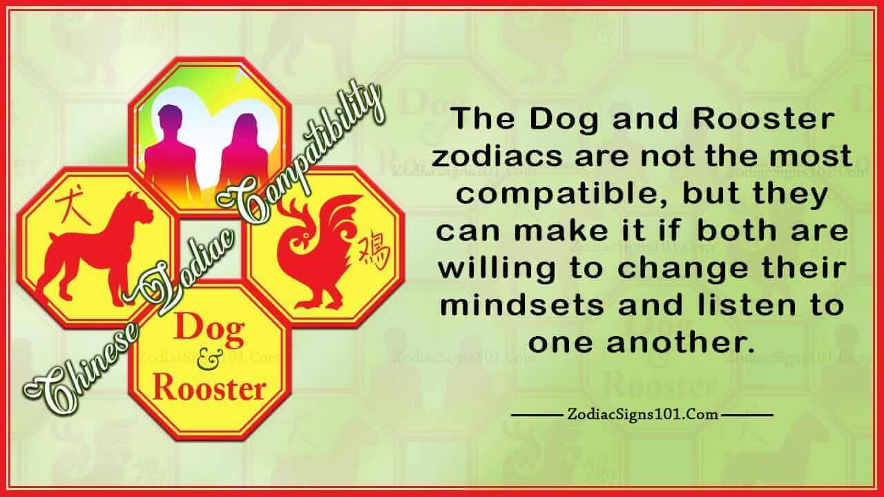 Dog Rooster Compatibility