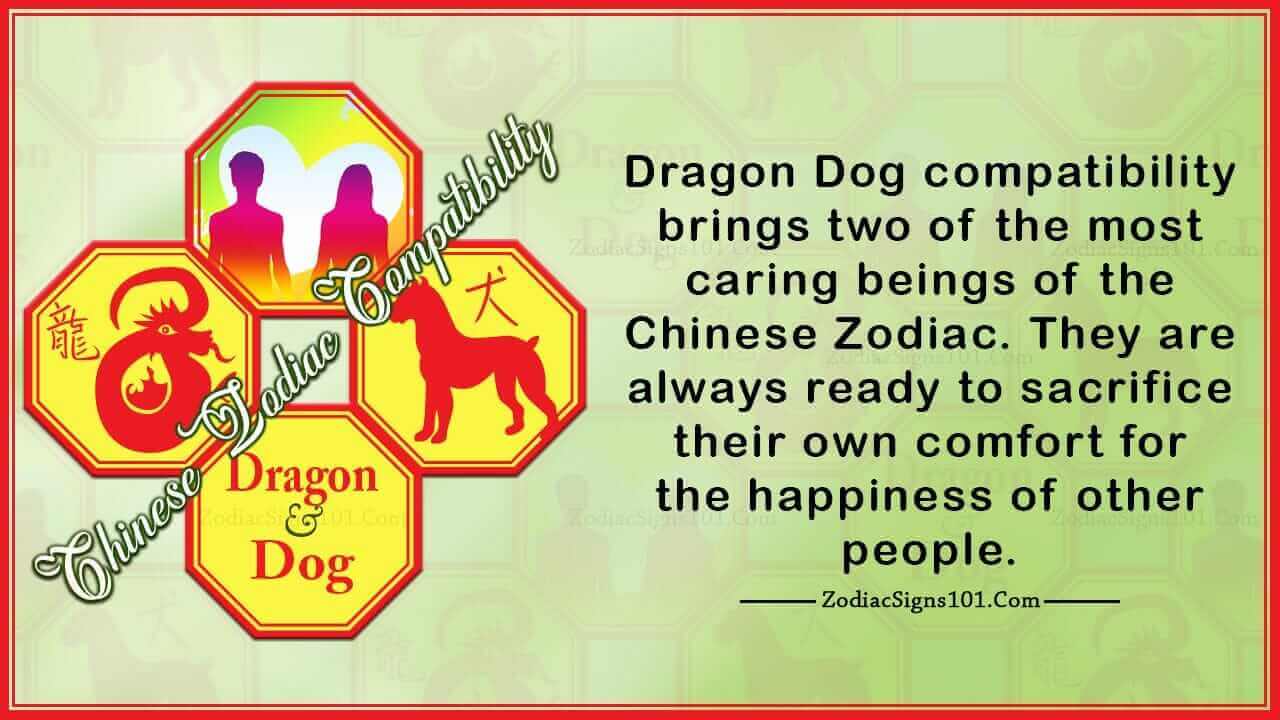 Dragon Dog