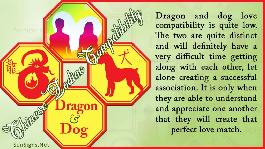 Dragon dog compatibility