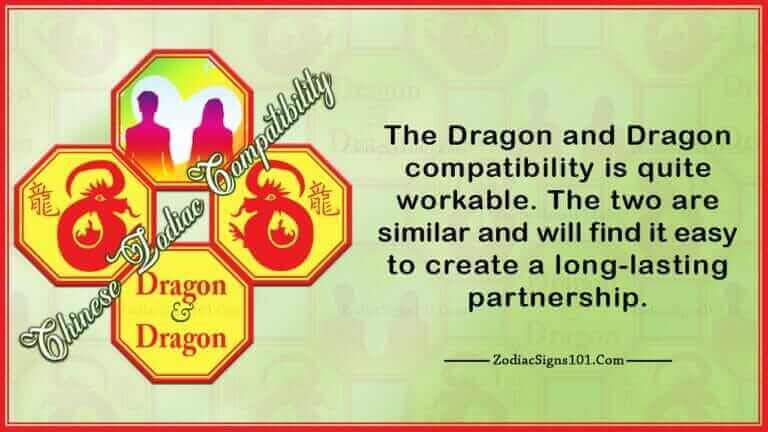 Dragon Dragon