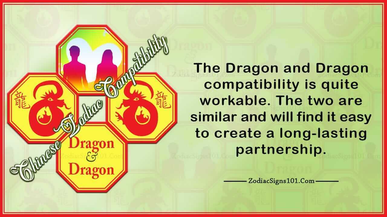 Dragon Dragon